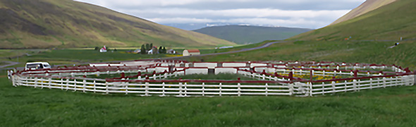 Enclos de moutons