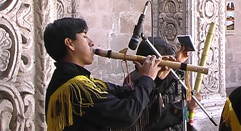 Joueur flute indienne